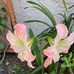 Barbara Reagan - Facebook
