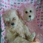 barbara reeder - @grandma_reeder - Instagram