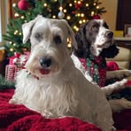 Barbara Reid - Facebook