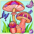 Barbara Reno - Facebook