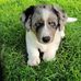 Barbara Renz Patterson - Facebook