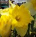 Barbara Weaver Renz - Facebook