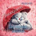 Barbararenzelli - @barbararenzelli - Instagram