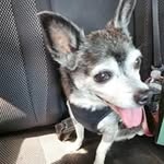 Barbara Romsteadt Revak - @barbararomsteadt - Instagram