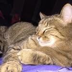 Barbara Revis Rogers - @bjrogers.31 - Instagram