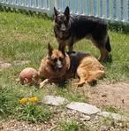 Barbara Rexrode - Facebook