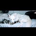 Barbara Rhea - Facebook