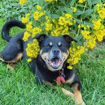 Barbara Thoman Rhoads - @cinnamom27 - Instagram