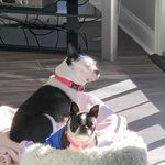 Barbara Rice - @barbararice4514 - Instagram