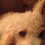 Barbara Richmond - @nursebarb13 - Instagram