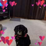 Barbara Rick - Facebook