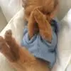 Barbara Rick - @barbara.rick - TikTok