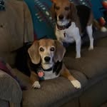 Barbara Wilson Ricketts - @barbararicketts - Instagram