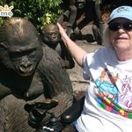 barbara ricketts - @barbararicketts351565barbarari - Instagram