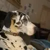 barbararicketts7 - @barbararicketts7 - TikTok