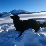 Barbara Riedlinger - @b_r__67 - Instagram