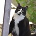 Barbara Riesberg - Facebook