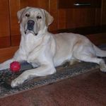 Barbara Riggio - @barbara.riggio.52 - Instagram