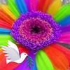 Barbara Rigotti - @barbararigotti - TikTok