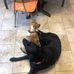 Barbara Ringer - Facebook