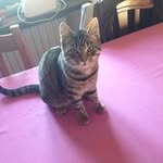 Barbara Ringer - @ringerbarbara - Instagram