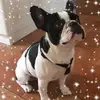 Barbara Roberto - @barbararoberto0 - TikTok