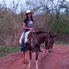 menina da pecuaria🌿🌾🐴🐂✔ - @barbararoberto27 - TikTok