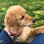 Barbara Rollins - @bpianofun - Instagram