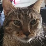 Barbara-Romain Texier - @babourom - Instagram