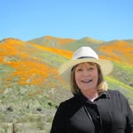 Barbara Crooker - @crookerbarbara - Instagram