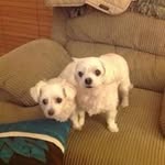 Barbara Holder Rooker - @barbaraholderrooker - Instagram