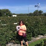 Barbara Root - @barbararoot5653 - Instagram