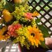 Barbara Root - Facebook
