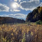 Barbara Root Randolph - @brandolph8693 - Instagram