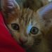 Barbara Rossetti - Facebook