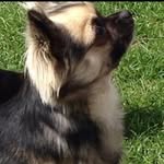 Barb Ann - @barbara.rowley.54 - Instagram