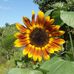 Barbara Rowley - Facebook
