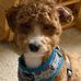 Barbara Rumph - Facebook