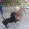 Barbara Rusin - @barbara.rusin1 - TikTok