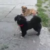 Barbara Rusinek565 - @barbararusinek565 - TikTok