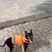 Barbara Saba - Facebook