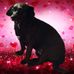 Barbara Saba - Facebook