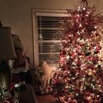 Barbara Samples Ehrie - @ehriebarbara - Instagram