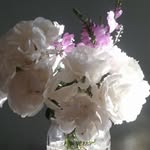 Barbara Sanborn - @barbara._sanborn - Instagram