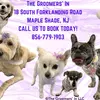The Groomer's In LLC - @barbarasanborn4 - TikTok