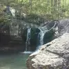 Barbara Sandifer - @barbara.sandifer - TikTok