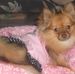 Barbara Sandler - Facebook