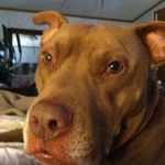 Barbara Sandlin - @barbara.sandlin.5 - Instagram
