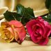Barbara Sandlin Wilson - Facebook