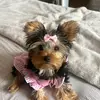 barbarasandoval554 - @barbarasandoval554 - TikTok